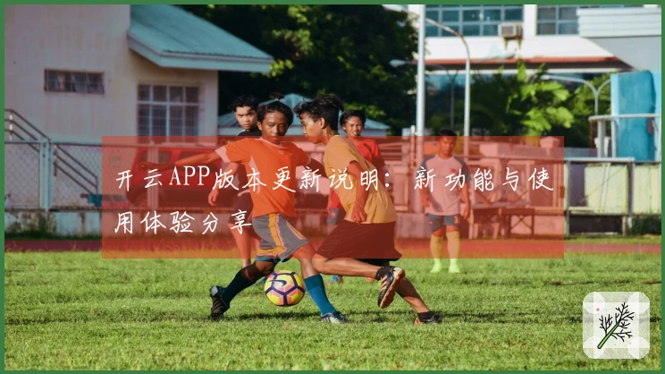 开云APP版本更新说明：新功能与使用体验分享
